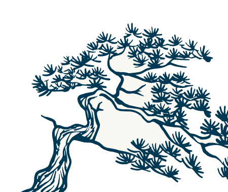 松の枝の墨絵