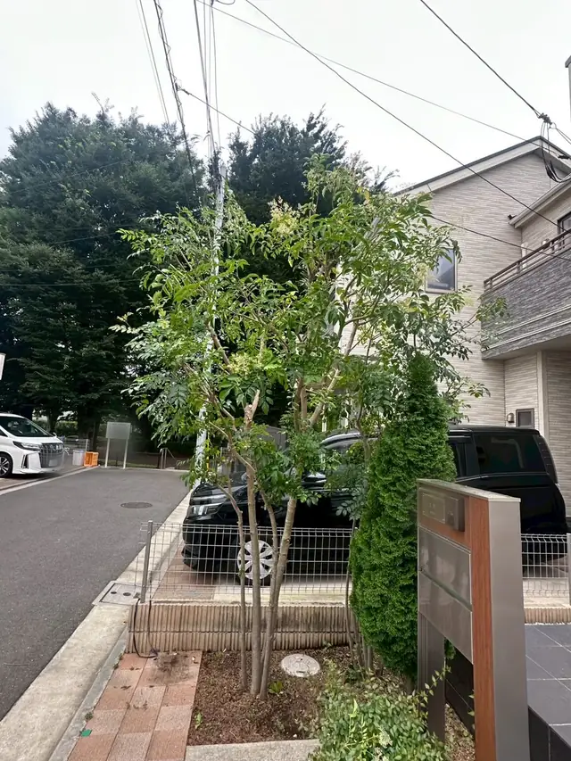 高さを詰めて見通しがきくようになった同じ場所