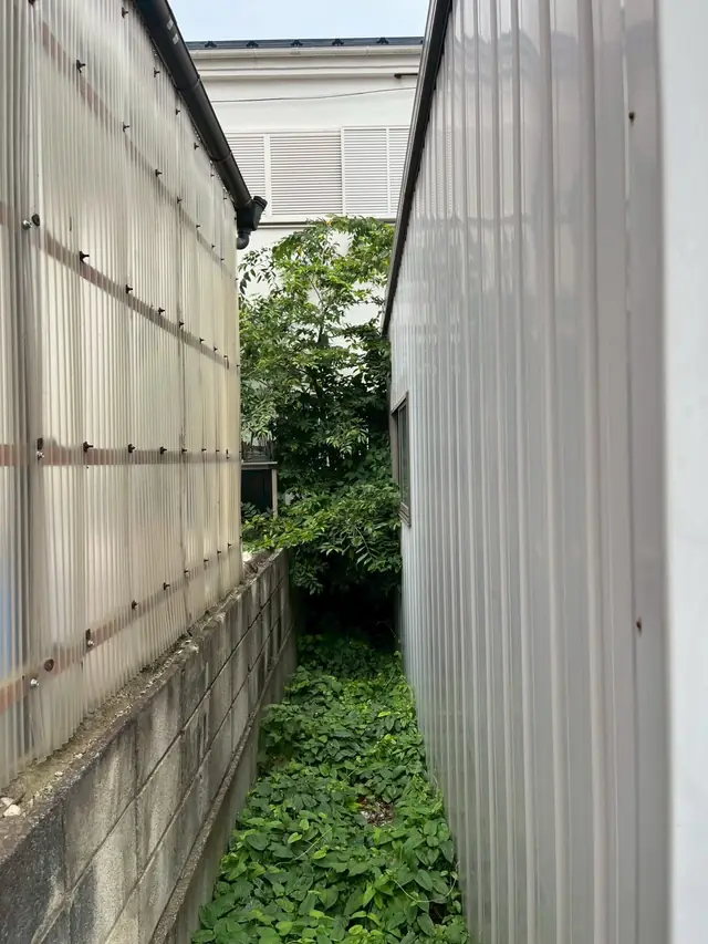 建物のあいだの狭い通路に草が伸びている状態