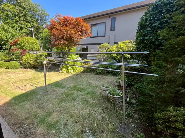 草を刈って地面が見えるようになった同じ庭