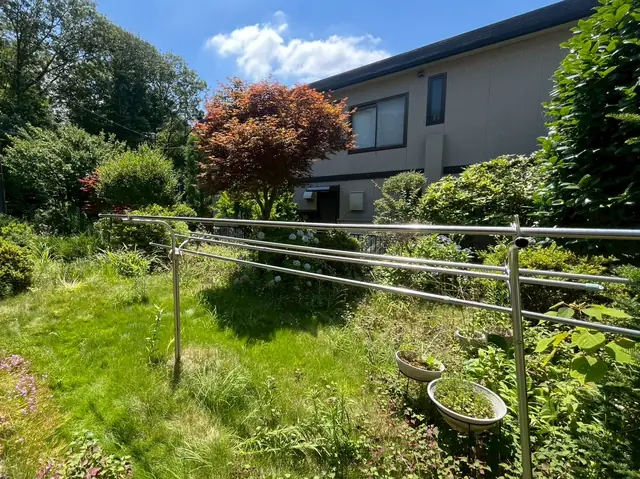 草が伸びきって地面が見えなくなった庭